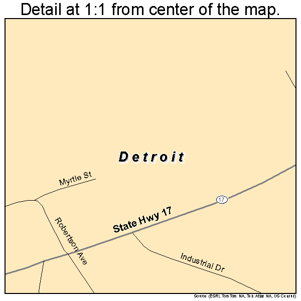 Detroit, Alabama road map detail