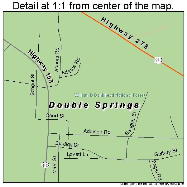 Double Springs, Alabama road map detail