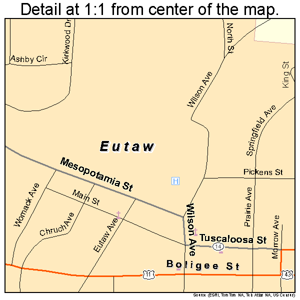 Eutaw, Alabama road map detail
