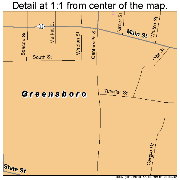Greensboro, Alabama road map detail