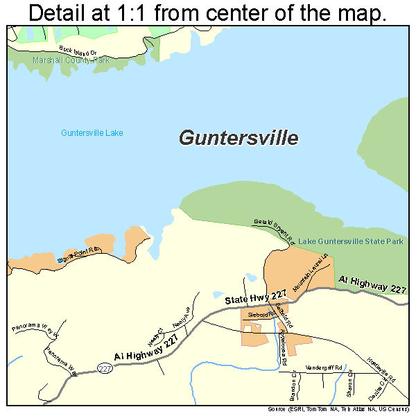 Guntersville, Alabama road map detail