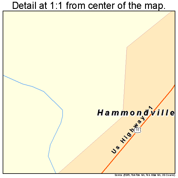Hammondville, Alabama road map detail
