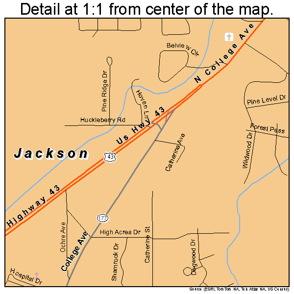 Jackson, Alabama road map detail