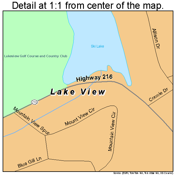 Lake View, Alabama road map detail