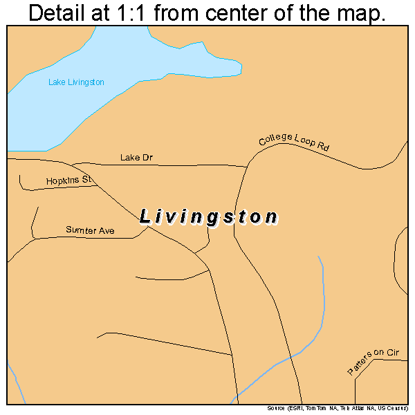 Livingston, Alabama road map detail