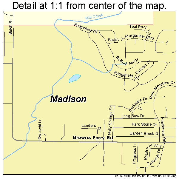 Madison, Alabama road map detail