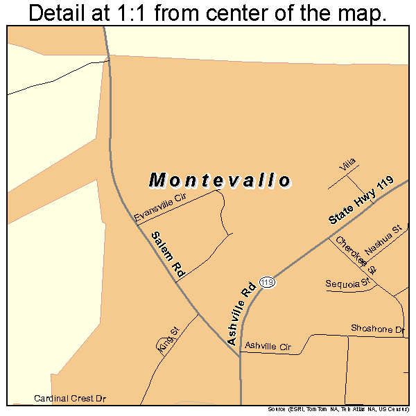 Montevallo, Alabama road map detail