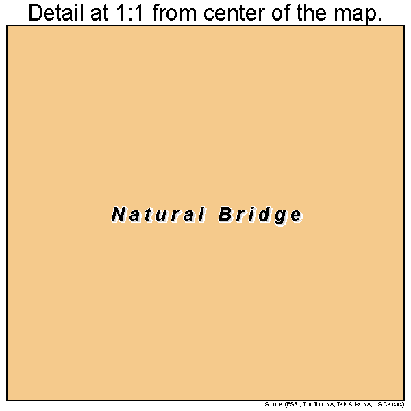 Natural Bridge, Alabama road map detail