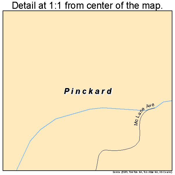 Pinckard, Alabama road map detail