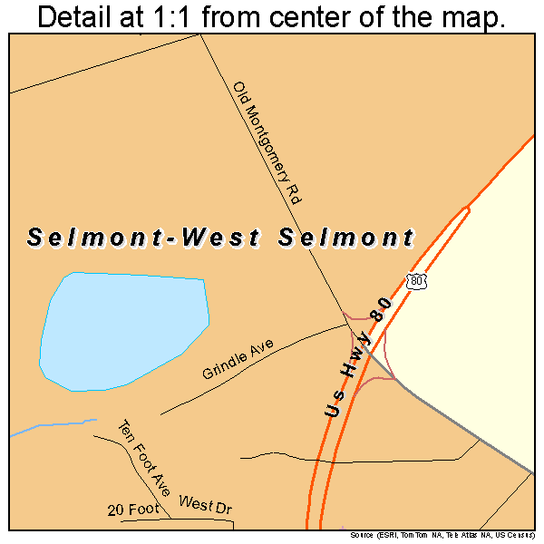 Selmont-West Selmont, Alabama road map detail