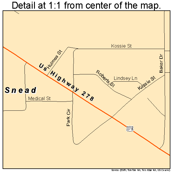 Snead, Alabama road map detail