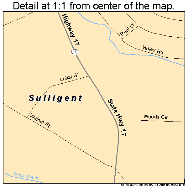 Sulligent, Alabama road map detail