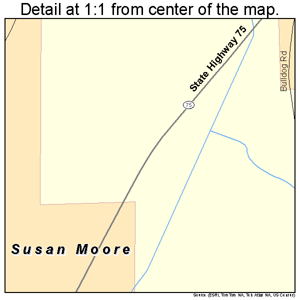 Susan Moore, Alabama road map detail