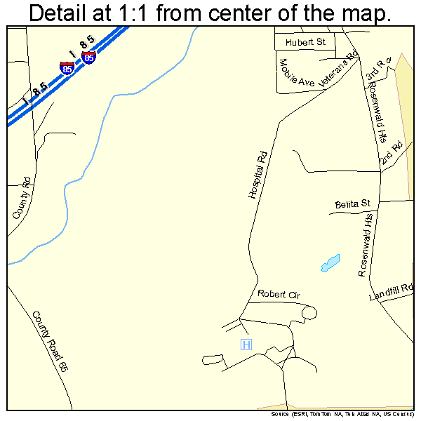 Tuskegee, Alabama road map detail
