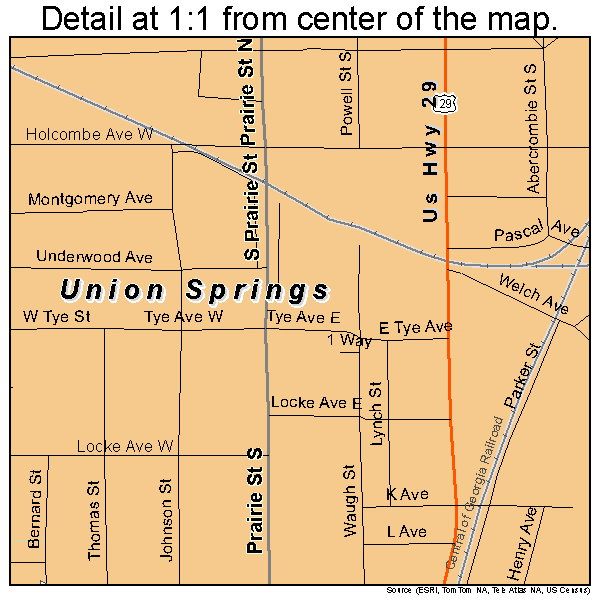 Union Springs, Alabama road map detail