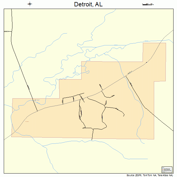 Detroit, AL street map