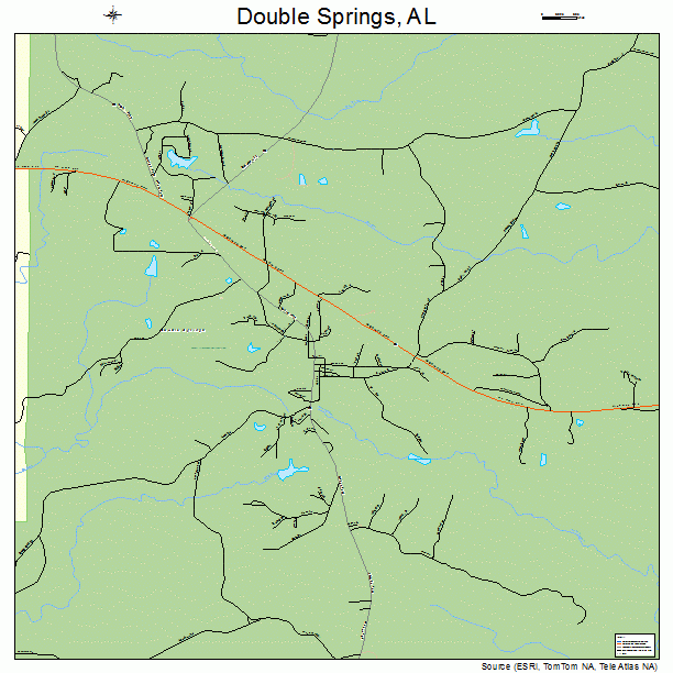 Double Springs, AL street map