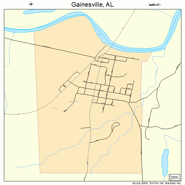 Gainesville, AL street map