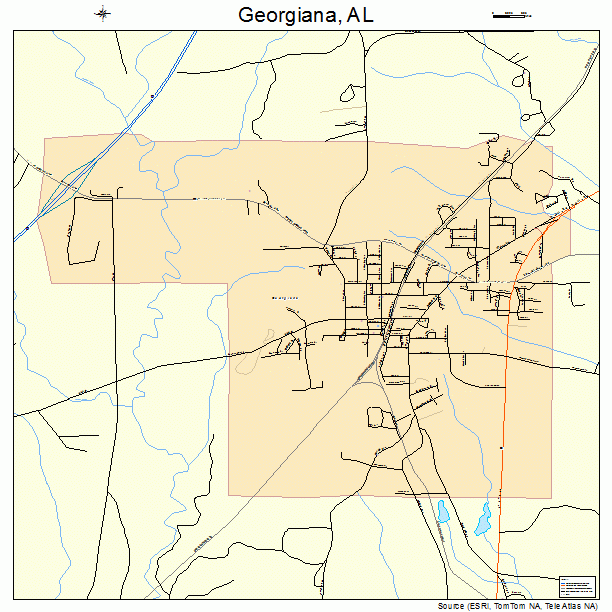 Georgiana, AL street map