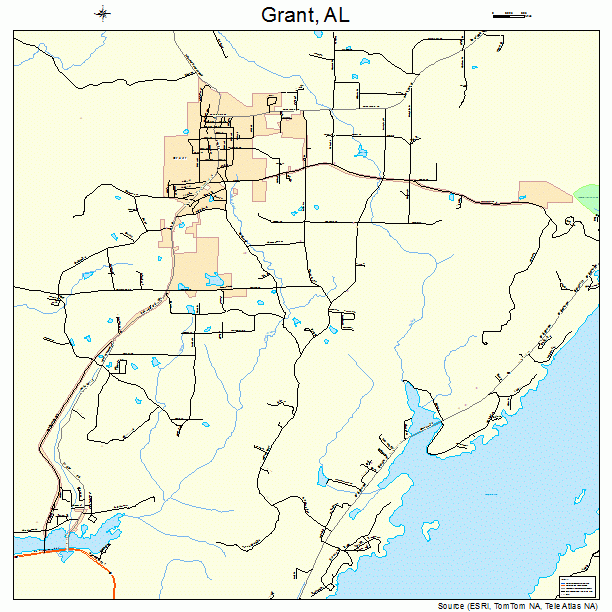 Grant, AL street map