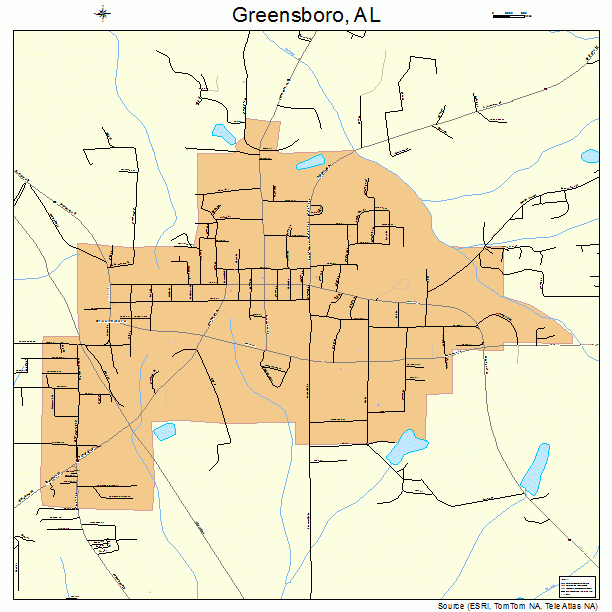 Greensboro, AL street map