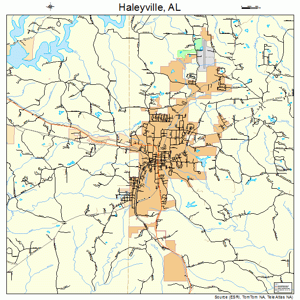 Haleyville, AL street map