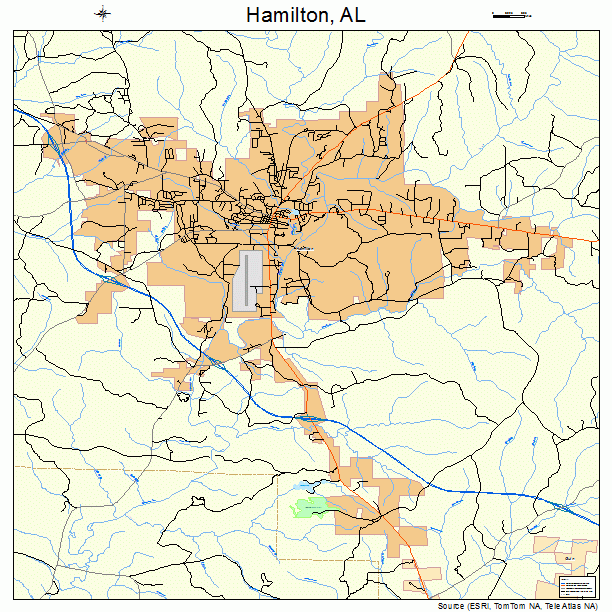 Hamilton, AL street map