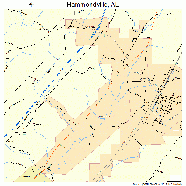 Hammondville, AL street map