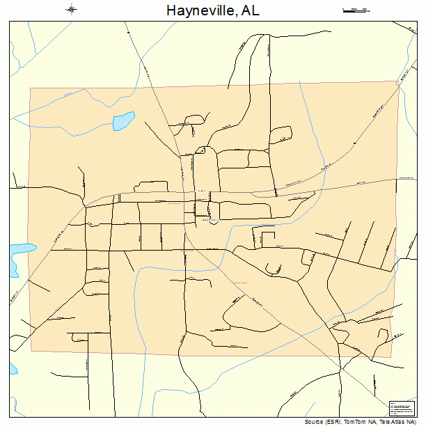 Hayneville, AL street map