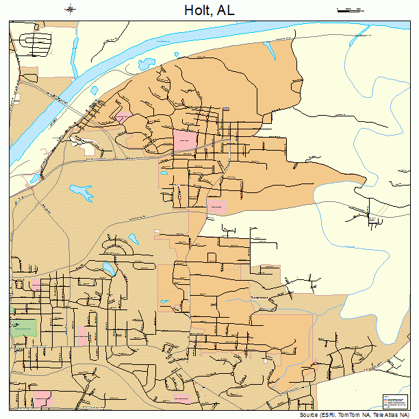 Holt, AL street map