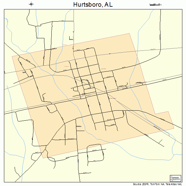 Hurtsboro, AL street map