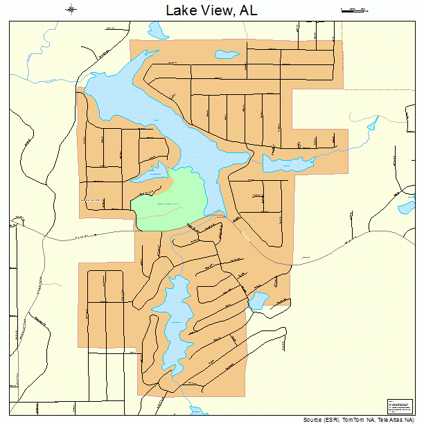 Lake View, AL street map