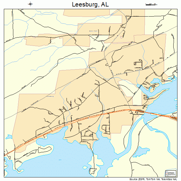 Leesburg, AL street map