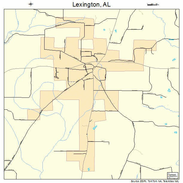 Lexington, AL street map