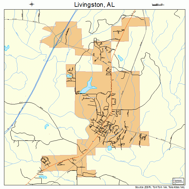 Livingston, AL street map