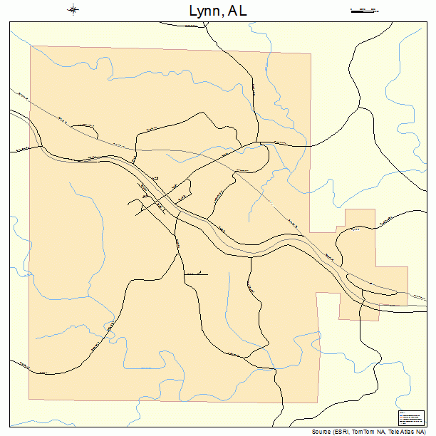 Lynn, AL street map