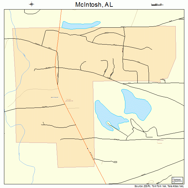 McIntosh, AL street map