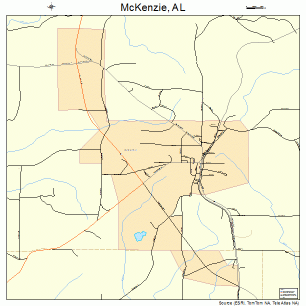 McKenzie, AL street map