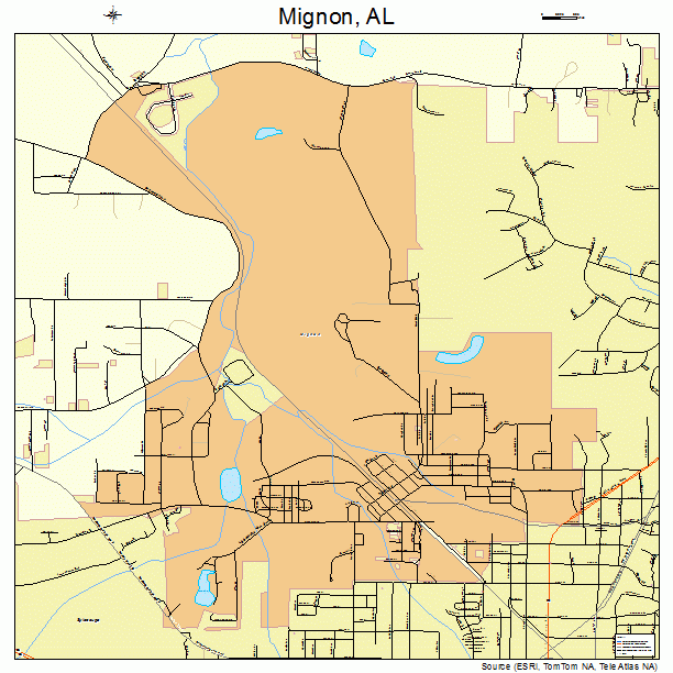 Mignon, AL street map
