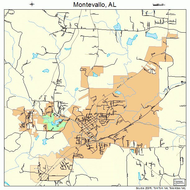 Montevallo, AL street map