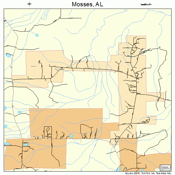 Mosses, AL street map