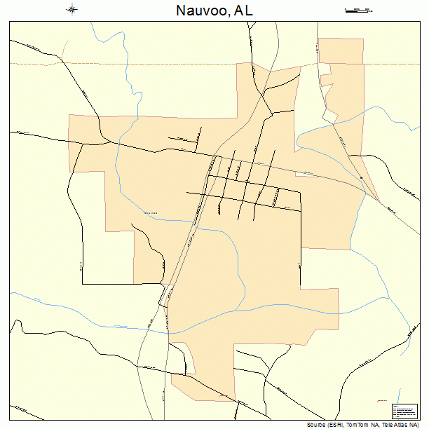 Nauvoo, AL street map