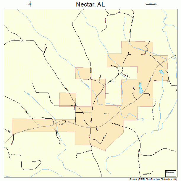 Nectar, AL street map