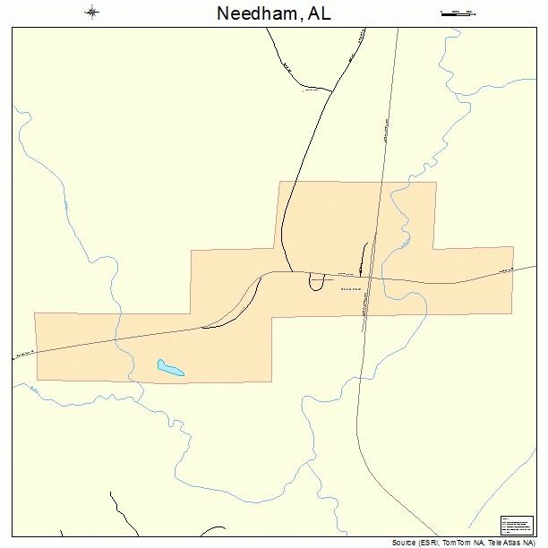 Needham, AL street map
