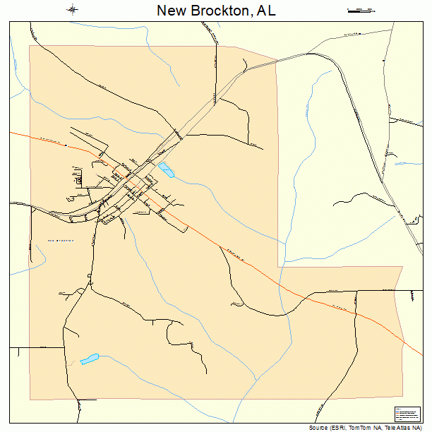 New Brockton, AL street map