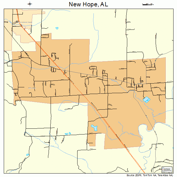 New Hope, AL street map