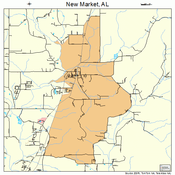 New Market, AL street map