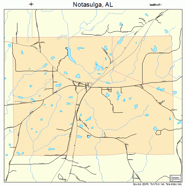 Notasulga, AL street map