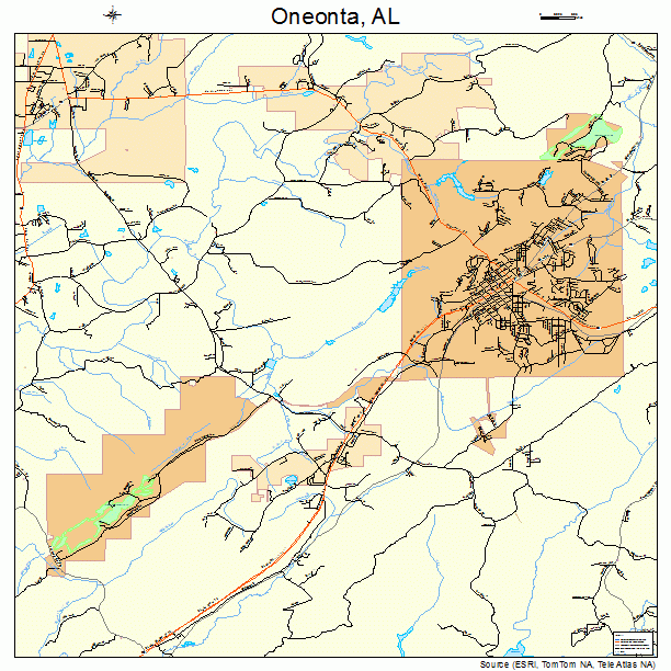 Oneonta, AL street map