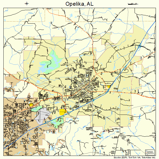 Opelika, AL street map